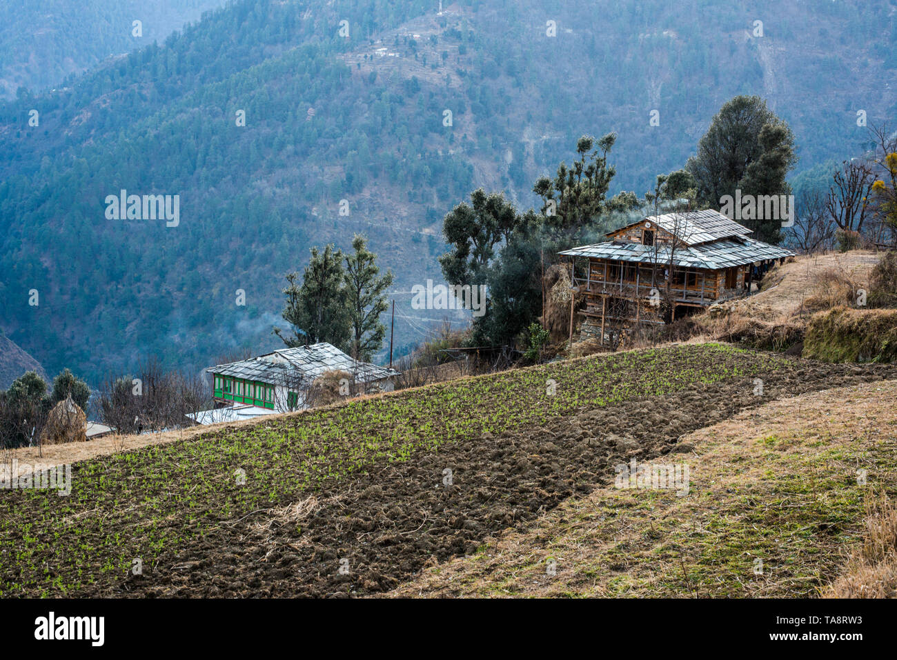 Typischen hölzernen Alpine House in himachal im Himalaya - Indien Stockfoto