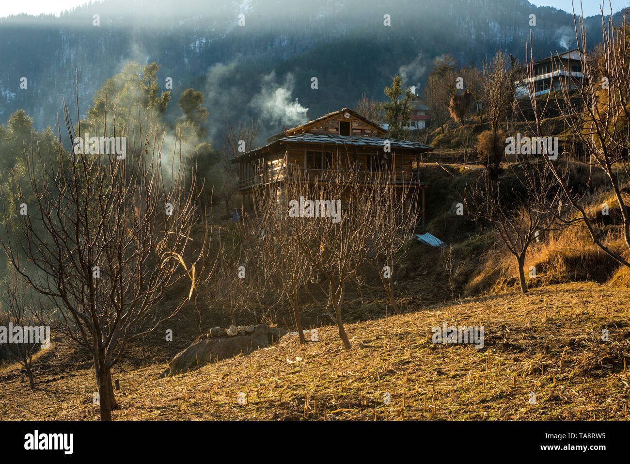 Typischen hölzernen Alpine House in himachal im Himalaya - Indien Stockfoto