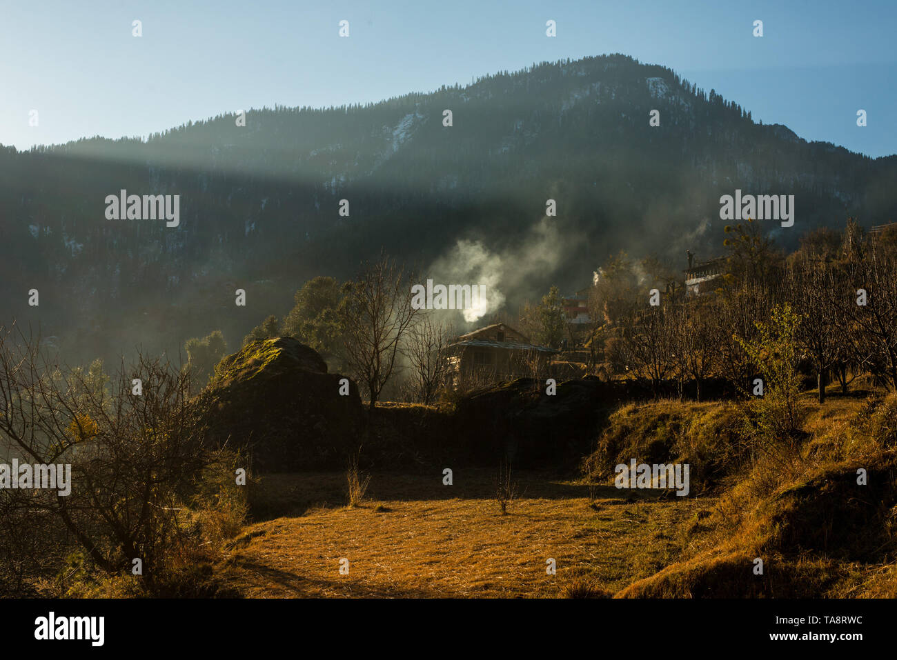 Typischen hölzernen Alpine House in himachal im Himalaya - Indien Stockfoto