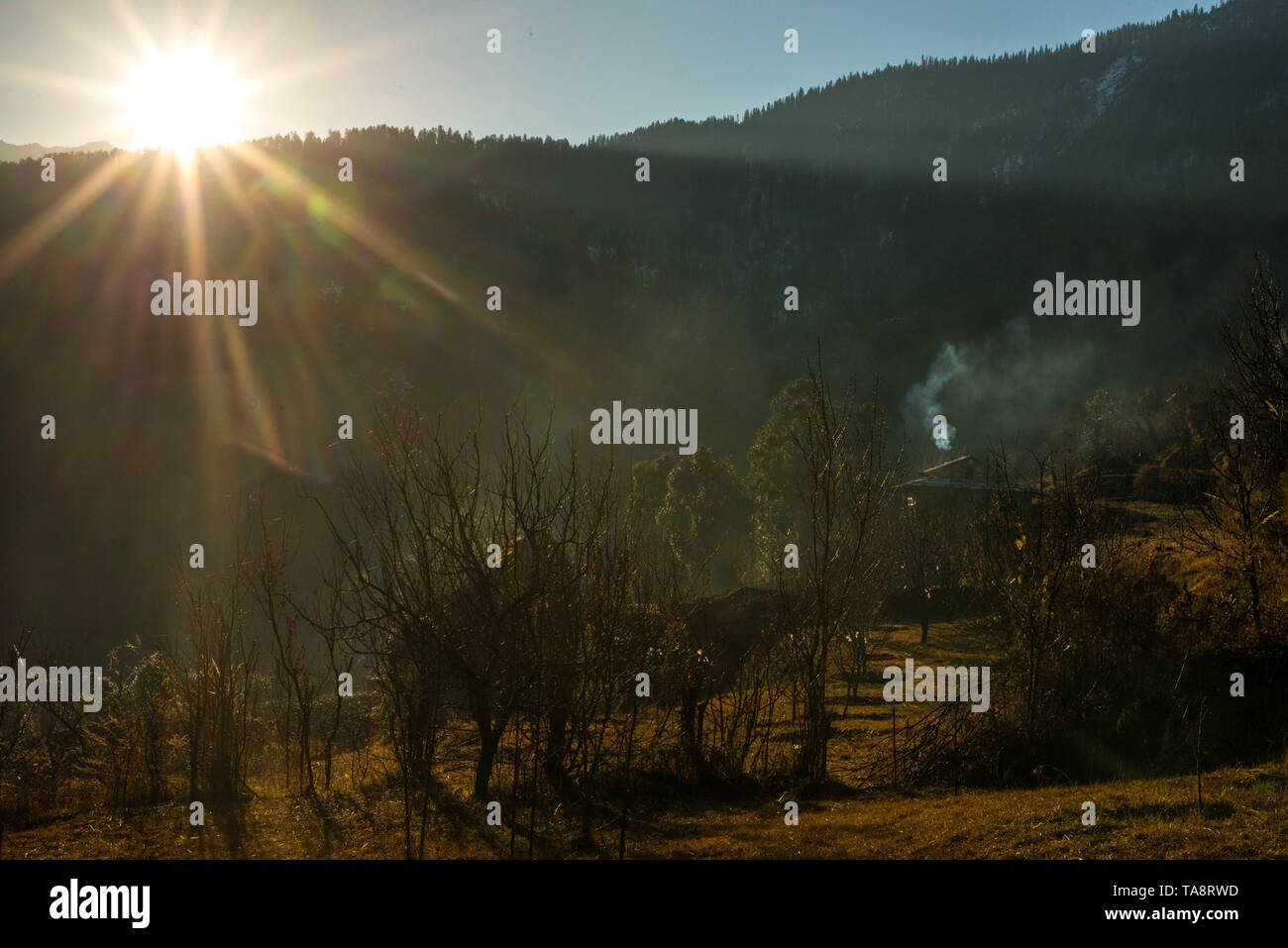 Typischen hölzernen Alpine House in himachal im Himalaya - Indien Stockfoto