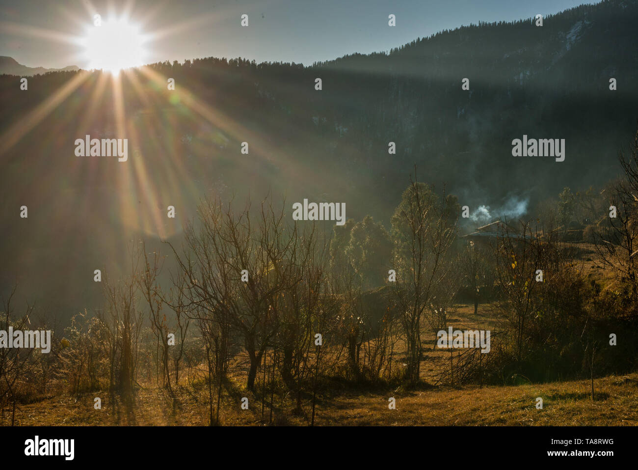 Typischen hölzernen Alpine House in himachal im Himalaya - Indien Stockfoto