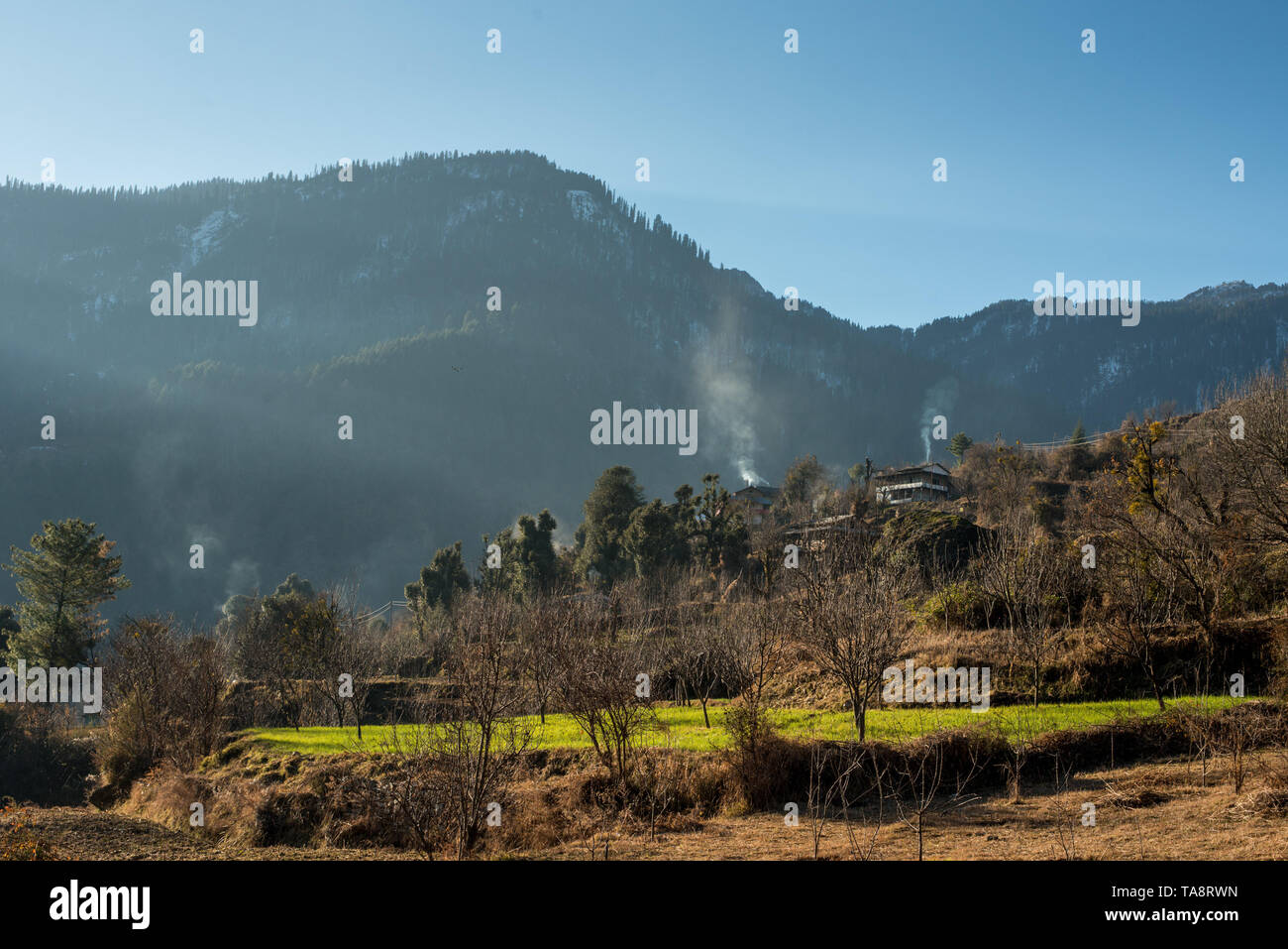 Typisches Dorf in himachal im Himalaya - Indien Stockfoto