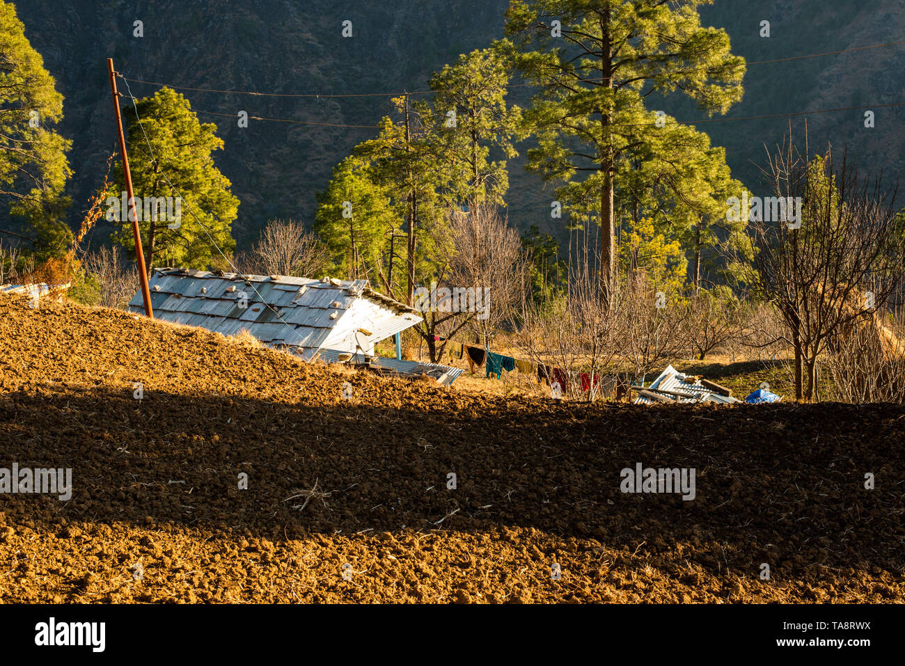 Typischen hölzernen Alpine House in himachal im Himalaya - Indien Stockfoto