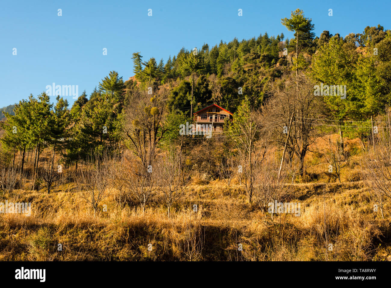 Typisches Dorf in himachal im Himalaya - Indien Stockfoto