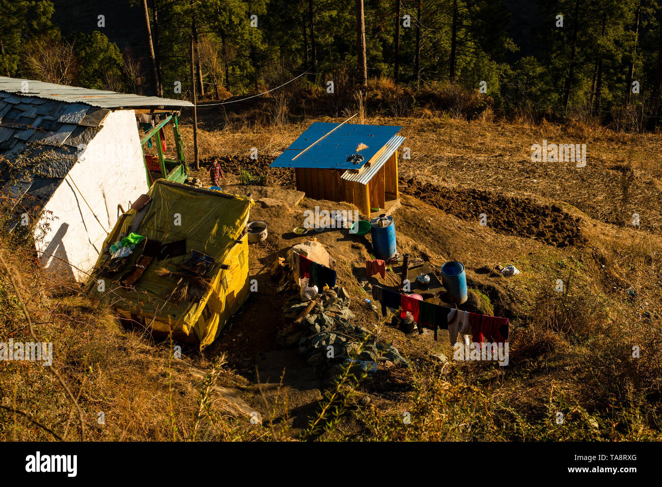 Typischen hölzernen Alpine House in himachal im Himalaya - Indien Stockfoto