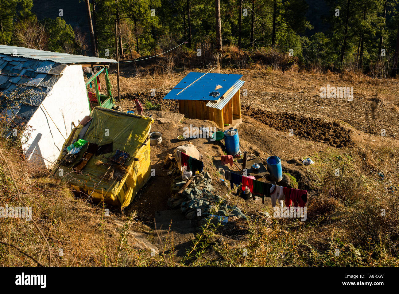 Typischen hölzernen Alpine House in himachal im Himalaya - Indien Stockfoto