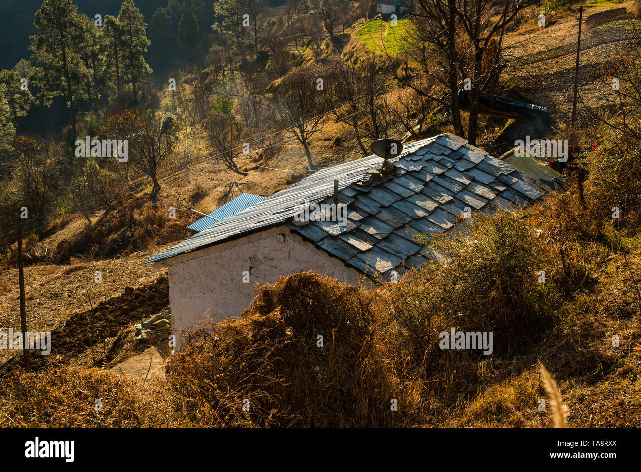 Typischen hölzernen Alpine House in himachal im Himalaya - Indien Stockfoto