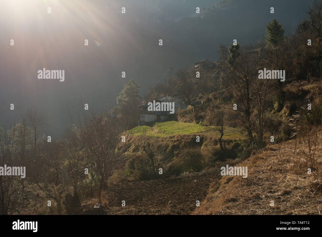 Typischen hölzernen Alpine House in himachal im Himalaya - Indien Stockfoto
