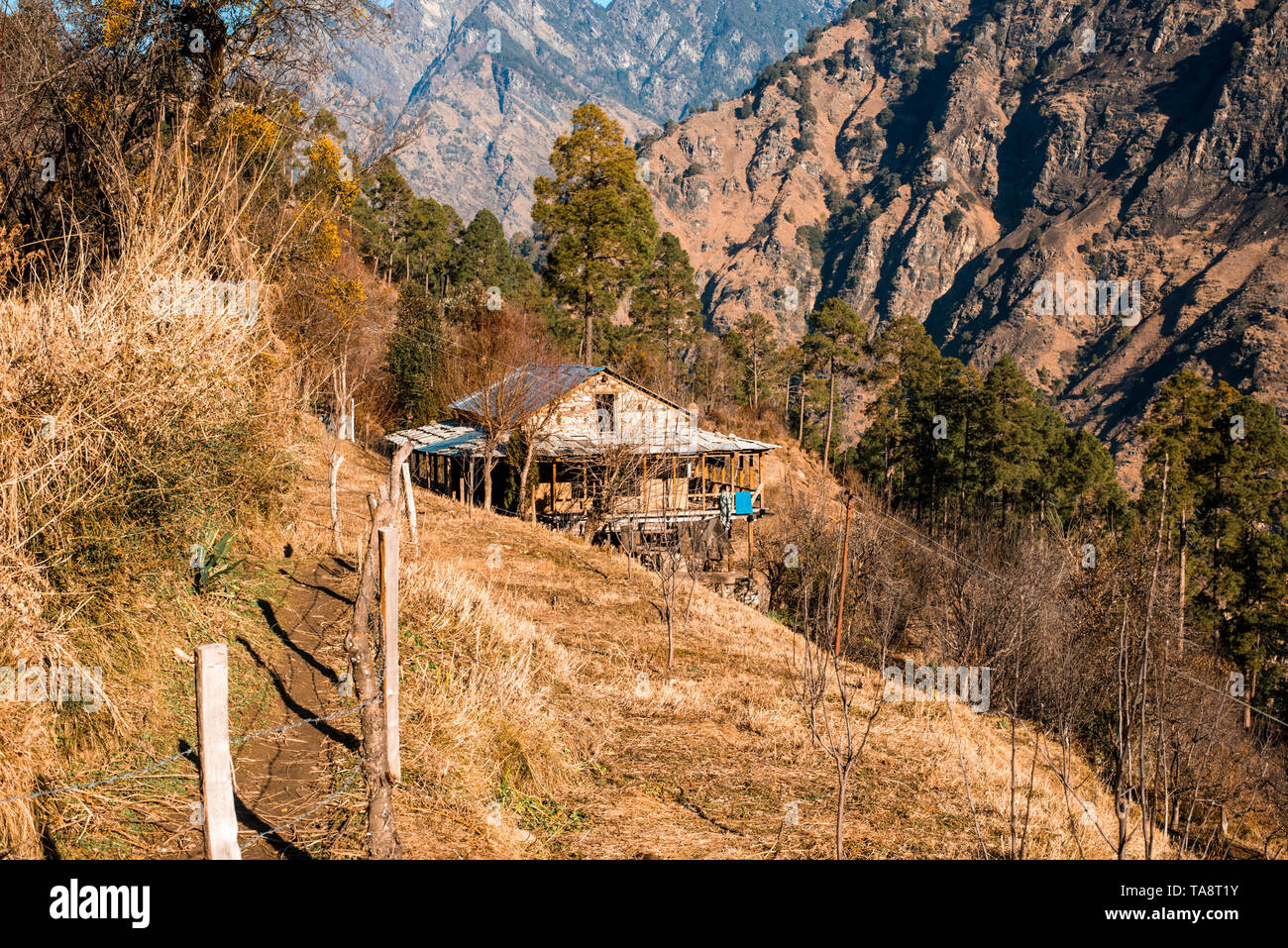 Typischen hölzernen Alpine House in himachal im Himalaya - Indien Stockfoto