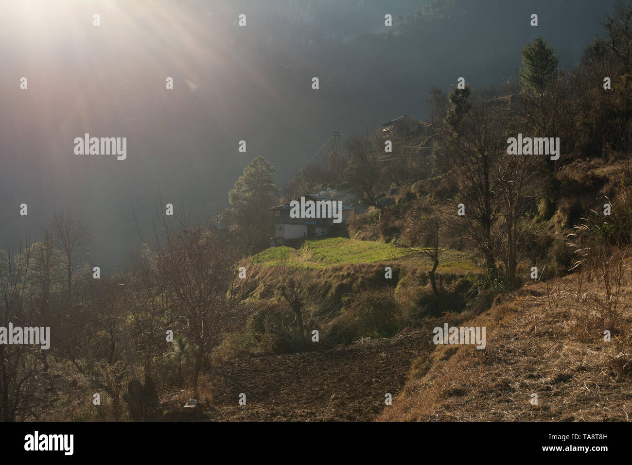 Typischen hölzernen Alpine House in himachal im Himalaya - Indien Stockfoto