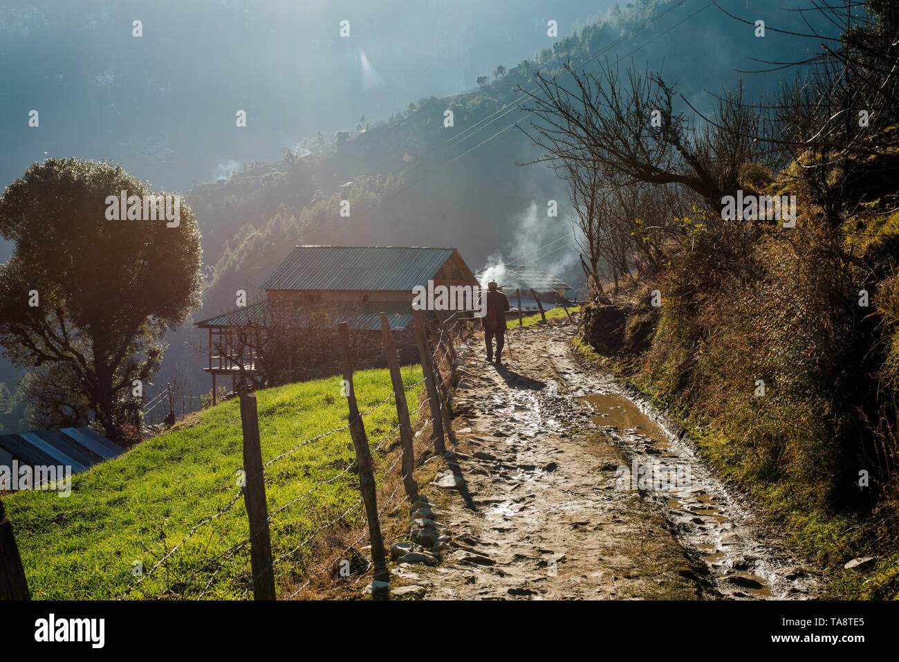 Typischen hölzernen Alpine House in himachal im Himalaya - Indien Stockfoto