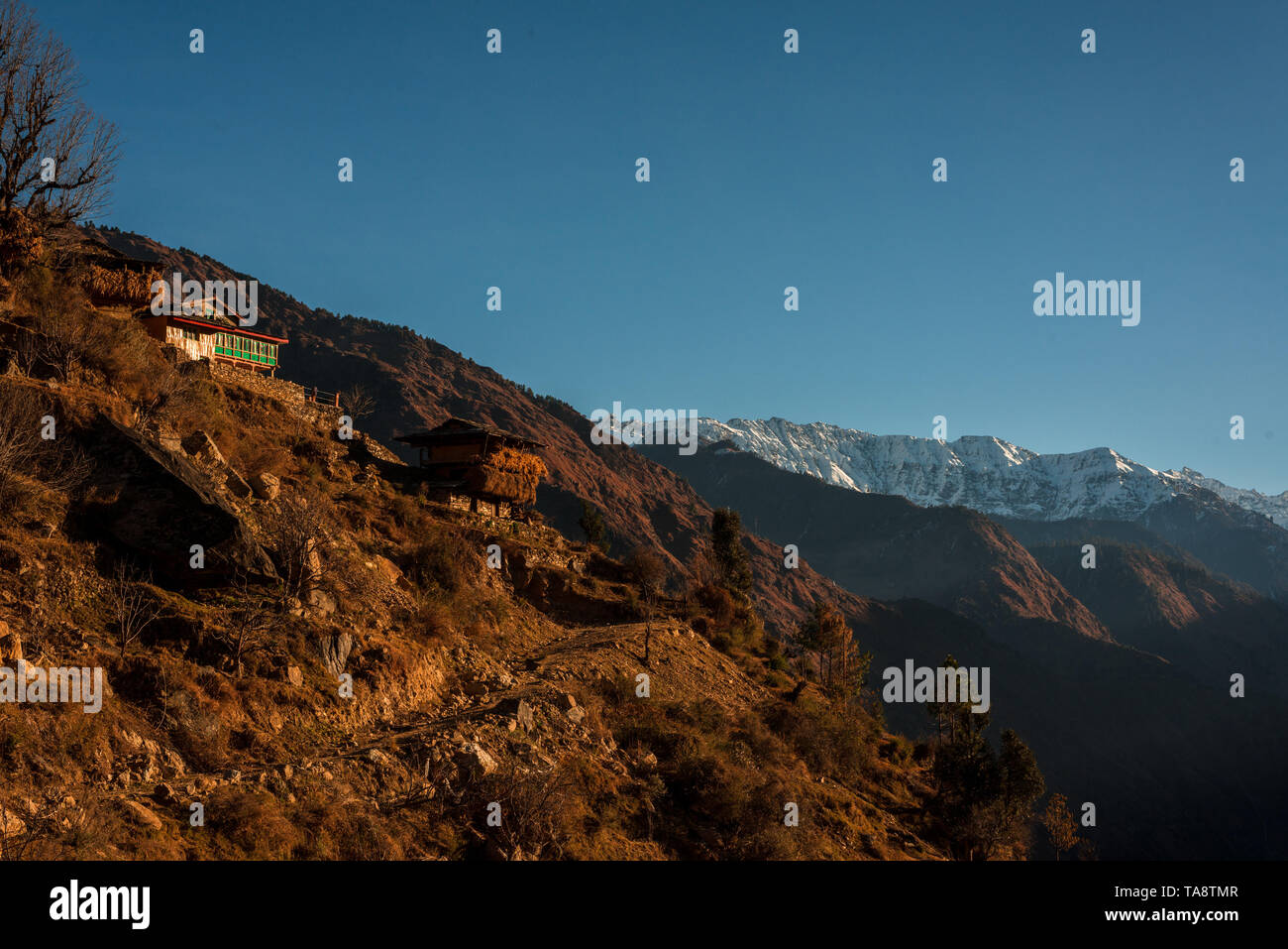 Typischen hölzernen Alpine House in himachal im Himalaya - Indien Stockfoto