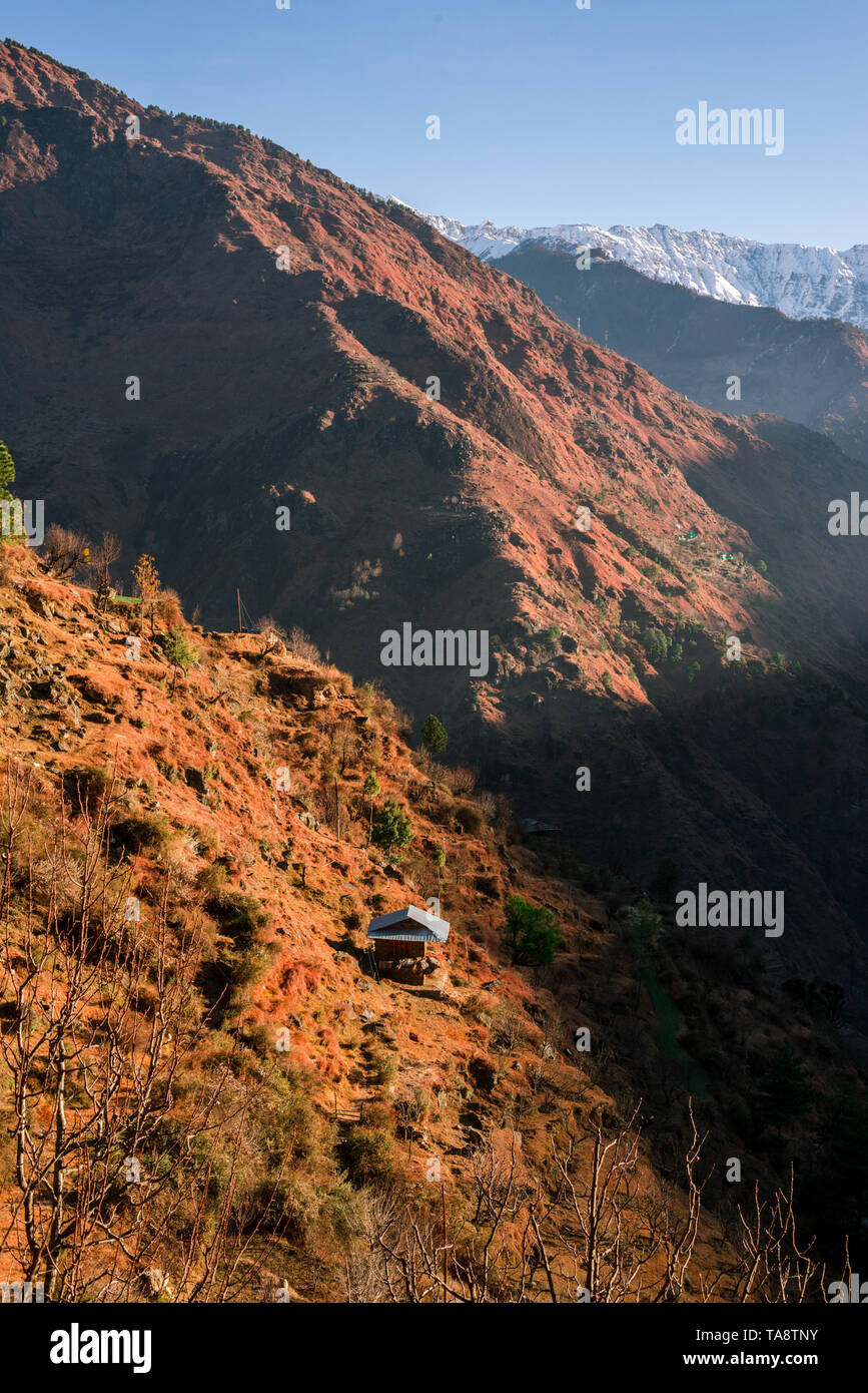 Typischen hölzernen Alpine House in himachal im Himalaya - Indien Stockfoto
