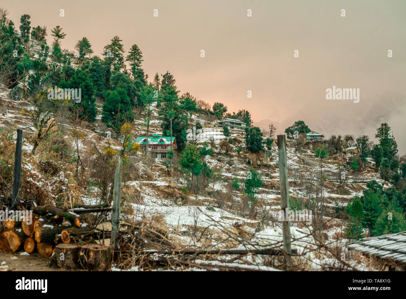 Schnee bedeckt Holzhaus im Himalaya in den Wintern - Indien Stockfoto