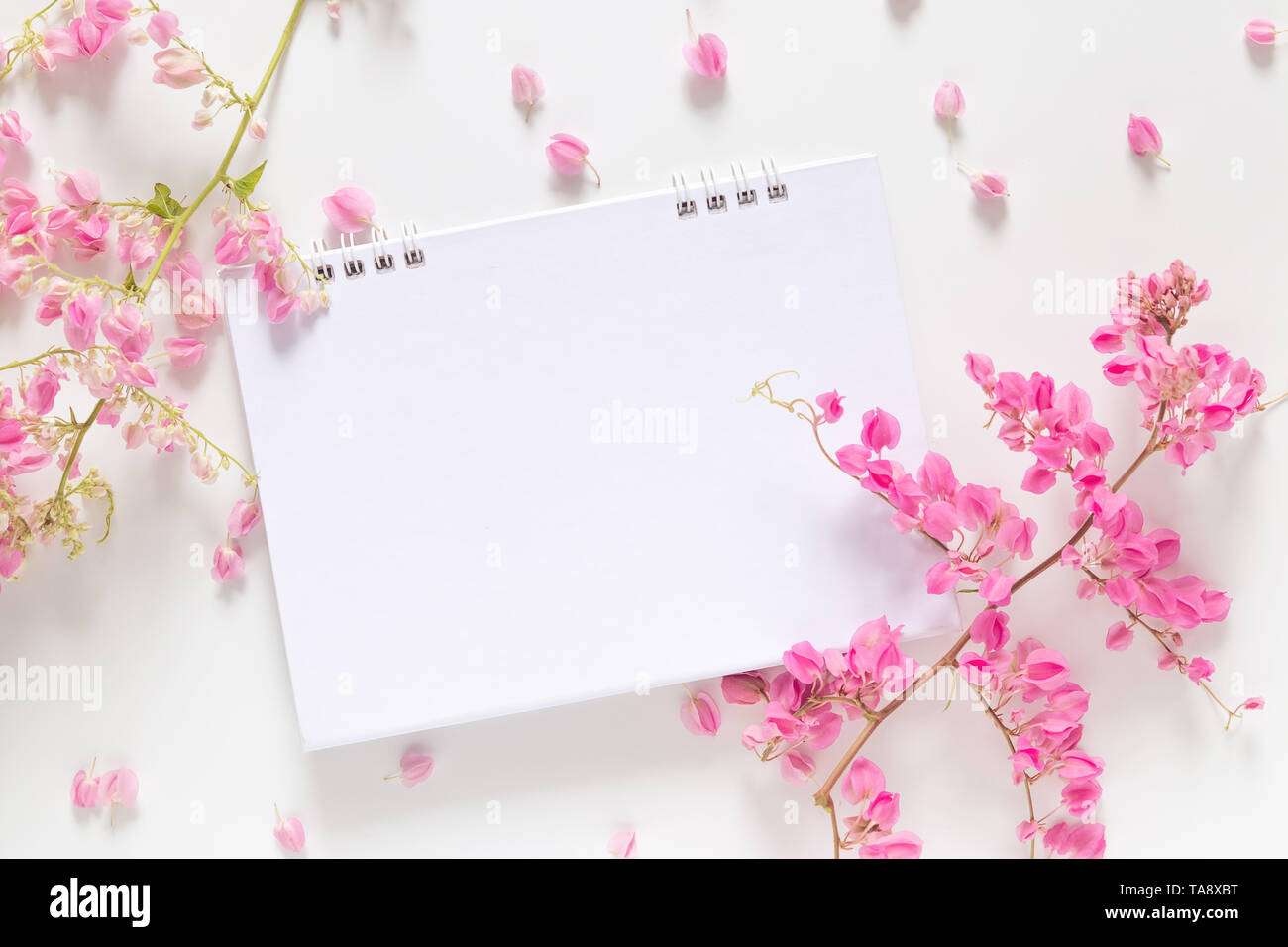 Flach der weißen leeren Kalender mit Kopie Raum schmücken mit rosa Blume auf weißem Hintergrund Stockfoto