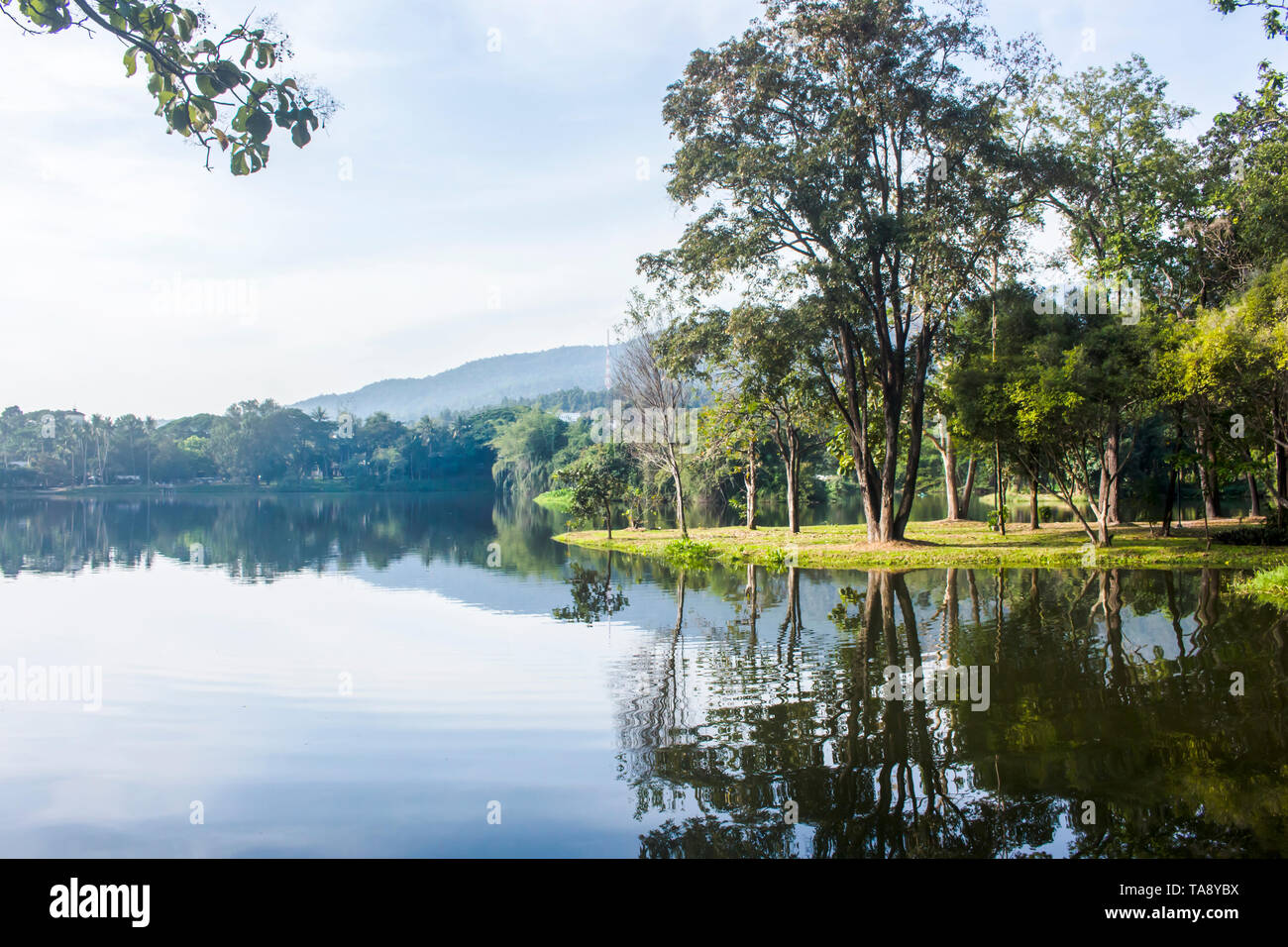 Atemberaubende Landschaft des Sees und Bäume im Ang Kaew Reservoir, Chiang Mai. Mit kopieren. Stockfoto