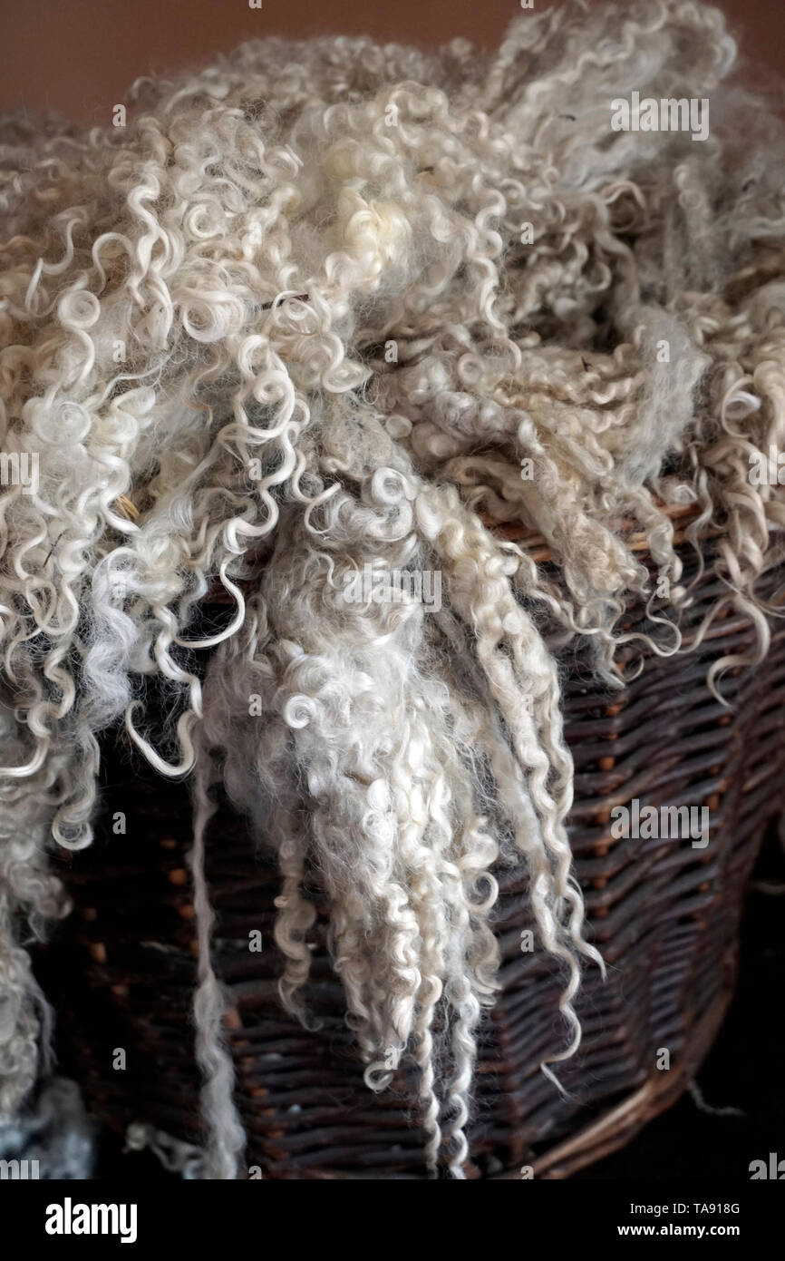 Weidenkorb voller Schafe Wolle Stockfoto