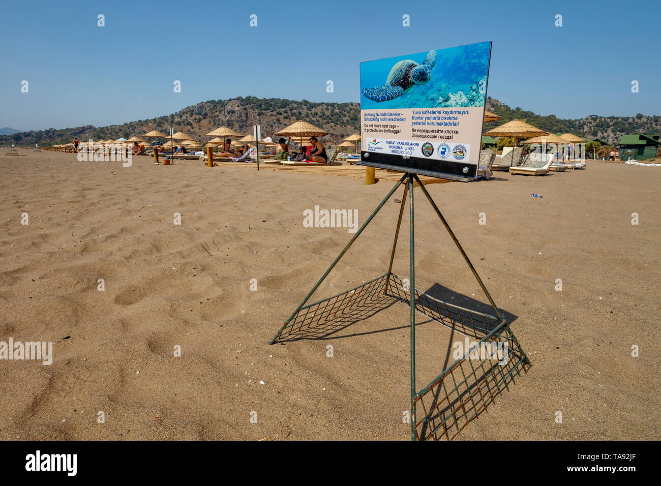 Schützende nest Käfig für Schildkröten Eier, Iztuzu Strand, Dalyan, Mugla, Türkei Stockfoto