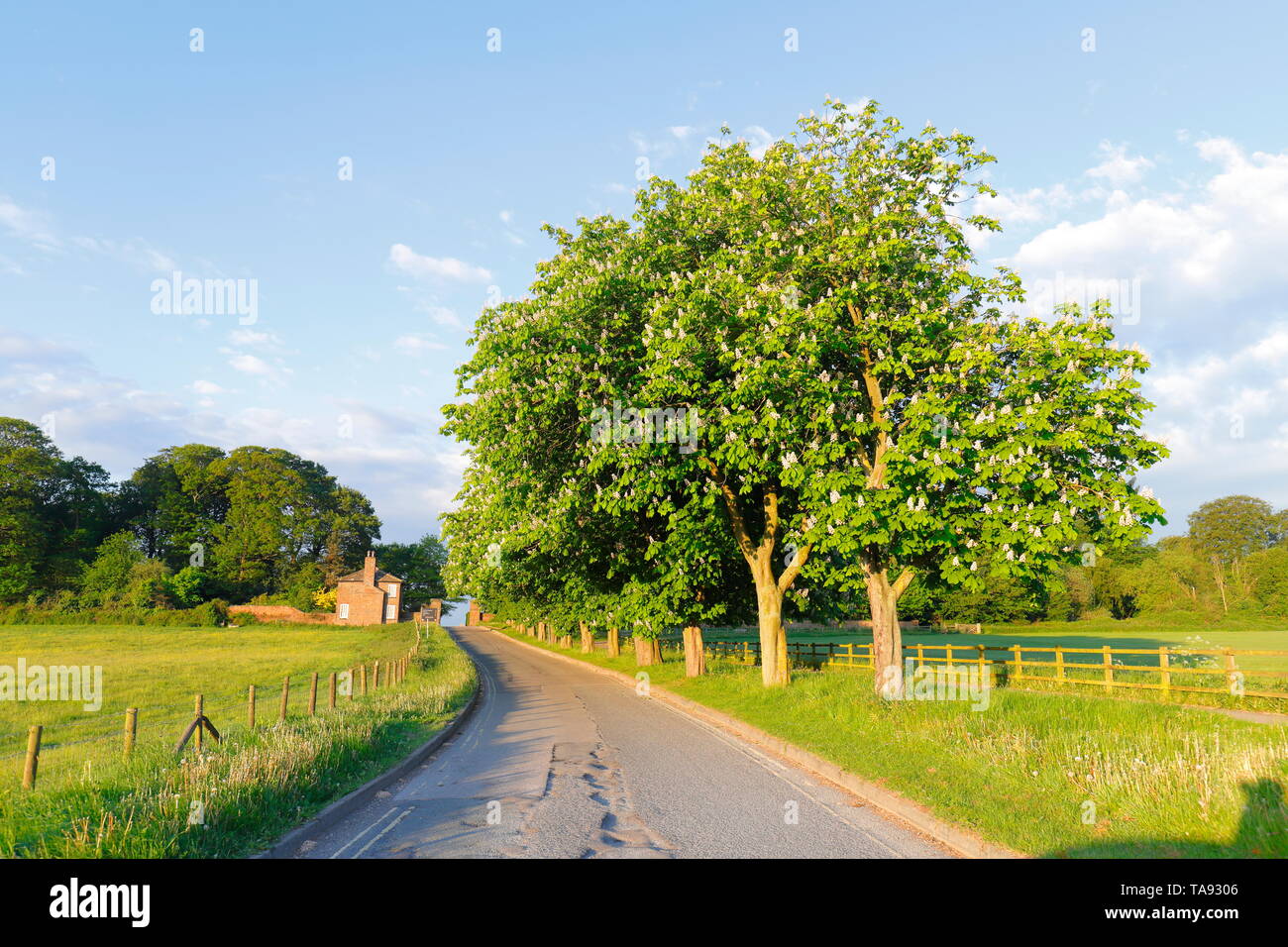 Die Colton Road ist eine schmale Straße, die zum Eingang des Temple Newsam Estate in Leeds führt, der eine kostenlose Touristenattraktion ist Stockfoto