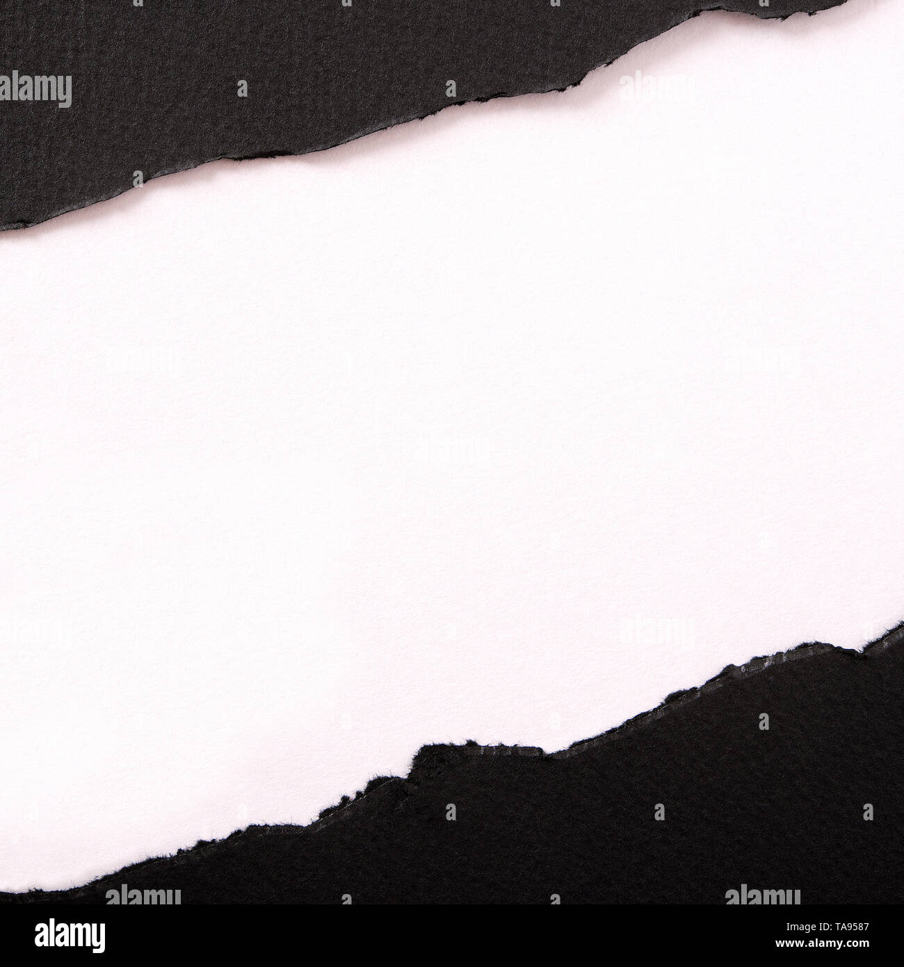 Zerrissenen schwarzen Streifen Papier diagonal weißen Hintergrund Square Stockfoto