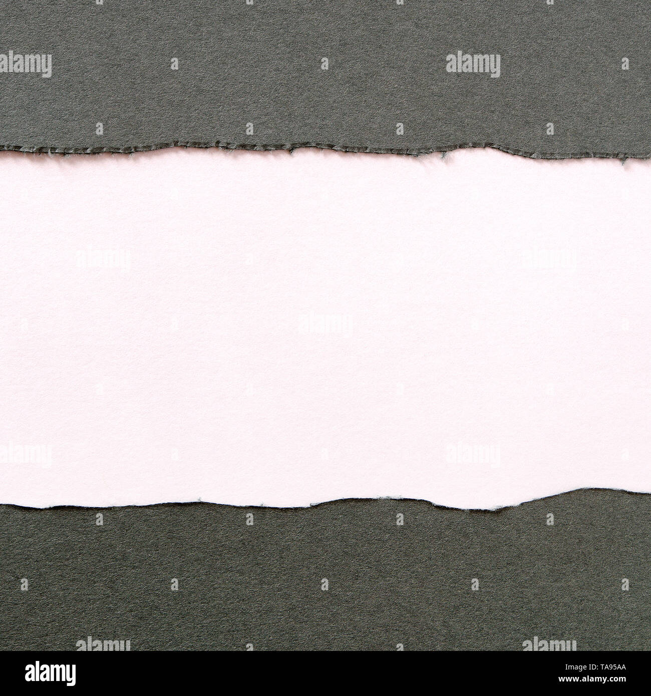 Zerrissen grauen Streifen Papier weiß Hintergrund flach Quadrat Stockfoto