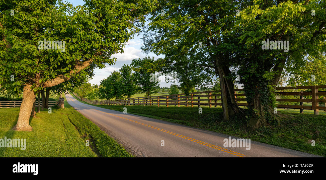 Web Banner der Scenic Byway in Kentucky berühmten bleugrass Pferd Grafschaft gerade außerhalb von Lexington. Die Szene zeigt einen von Bäumen gesäumten, zweispurigen Straße mit Stockfoto