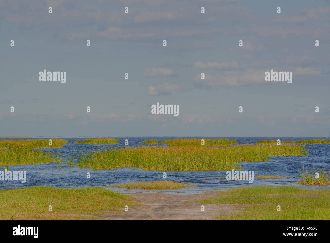 See Okeechobee Shoreline in Okeechobee County, Florida, USA. Stockfoto
