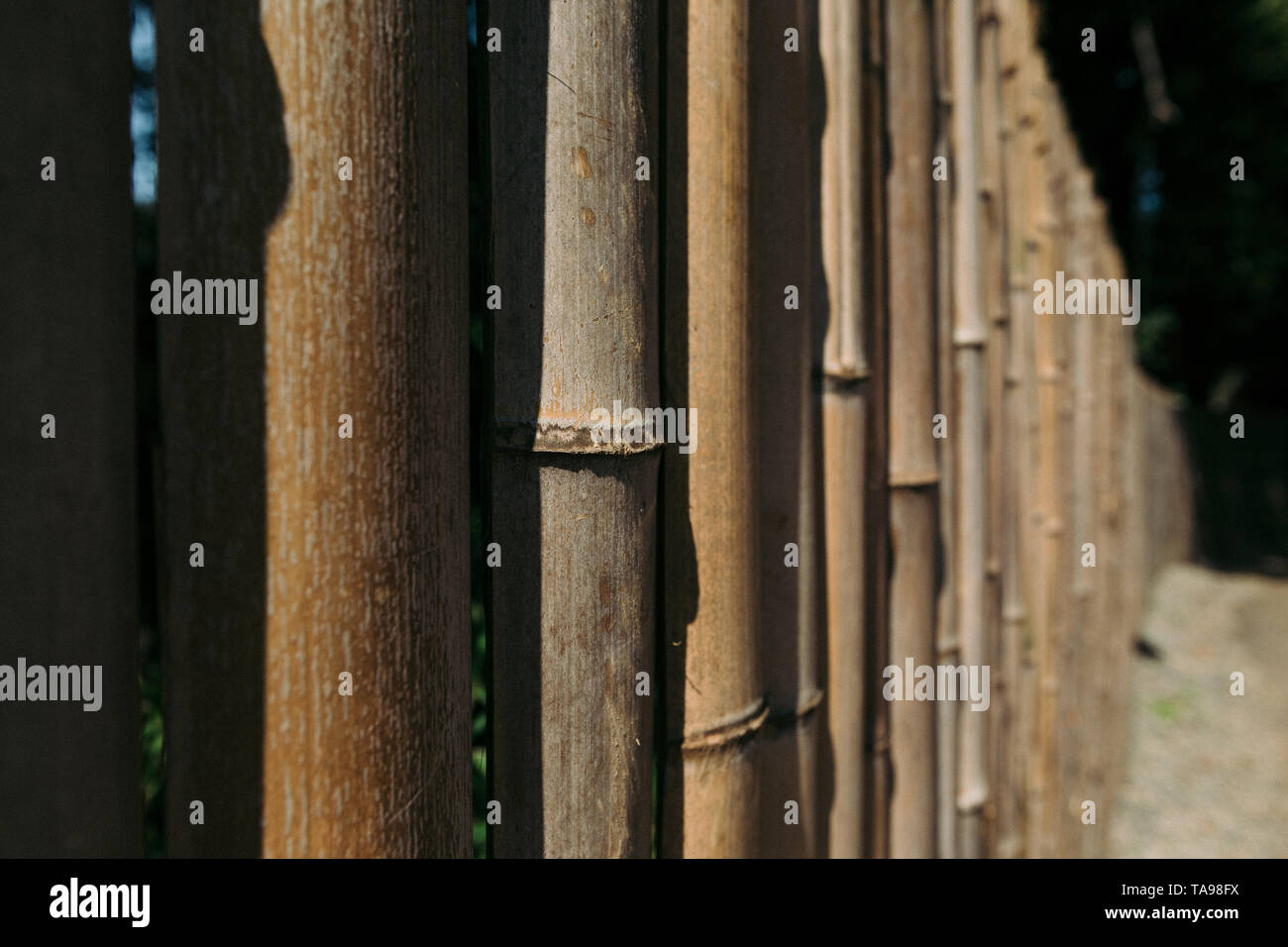 Alte braune ton Bamboo plank Zaun für Hintergrund. Stockfoto