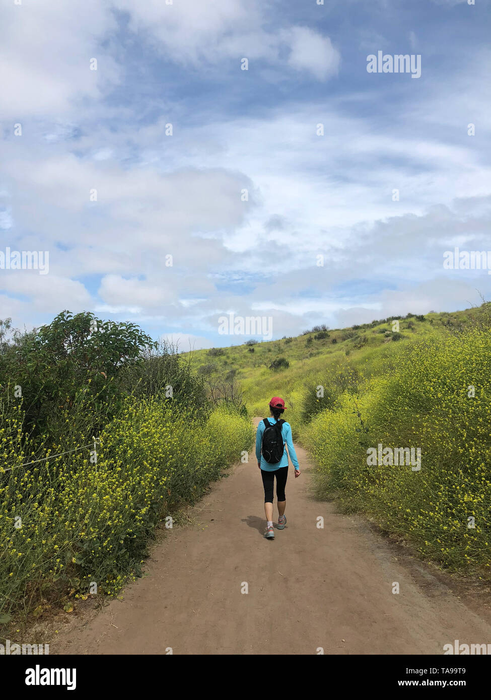Eine Frau wandern auf einem Trail irgendwo in Kalifornien Stockfoto