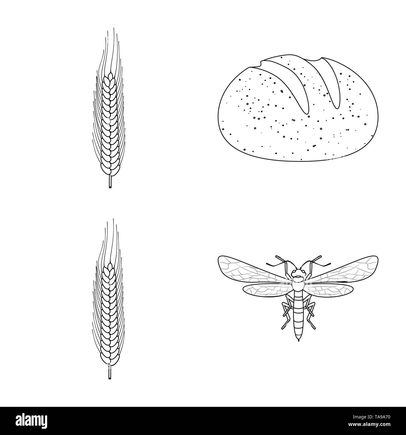 Brot, Fliegen, Winter, Insekt, Hartweizen, Frühstück, Stop, Zuschneiden, bun, Flügel, Maisfeld, gesund, Insektizid, Stroh, Laib, Grün, Killer, Wiese, Snack, Wildlife, ländliche, Backen, Sommer, Frühling, Pest, Spike, Essen, Steuern, Landwirtschaft, Landwirtschaft, Roggen, Weizen, Mais, Getreide, Ernte, Bauernhof, Feld, Set, Vector, Icon, Illustration, isoliert, Sammlung, Design, Element, Grafik, Zeichen, Outline, Linie Vektor Vektoren, Stock Vektor