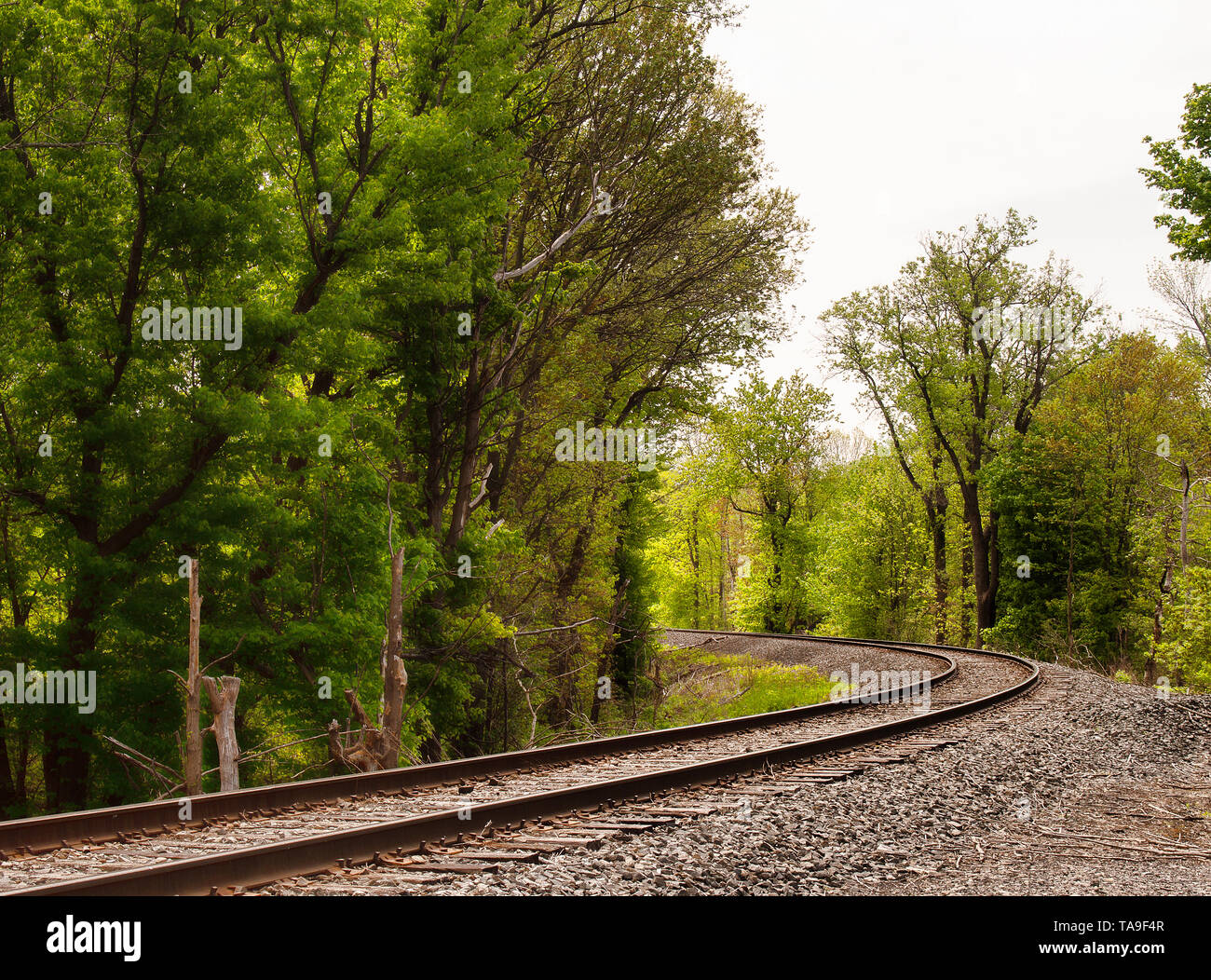 Bahn durch einen Wald geschwungene Stockfoto Bahn durch einen Wald geschwungene Stockfoto