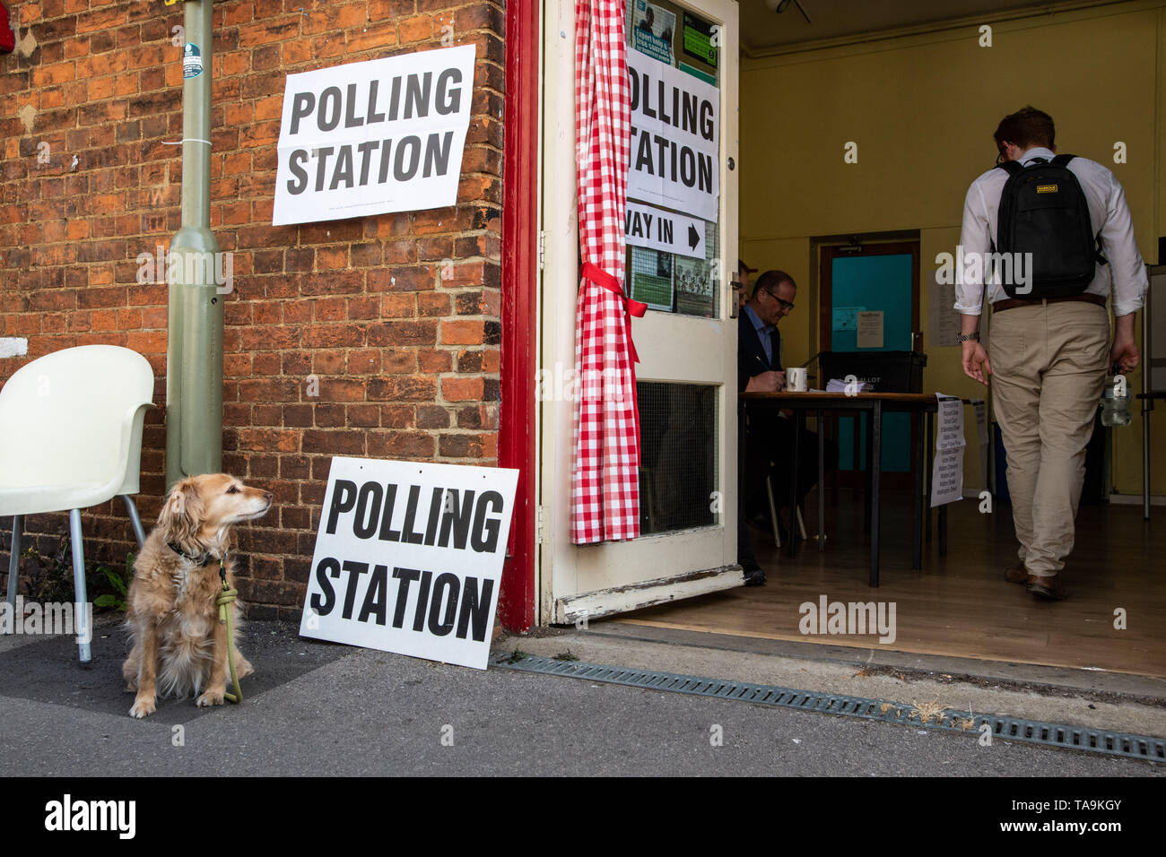 Oxford, Oxfordshire, UK. 23 Mai, 2019. Wahlen zum Europäischen Parlament. Es ist der Tag der Europawahlen und die Bewohner sind Abstimmung in Kraft. Ein collie Kreuz Hund sitzt vor einem Wahllokal in Jericho, Oxford, während Bewohner gehen in die Jericho Community Center zu stimmen. # DogsAtPollingStations Credit: Sidney Bruere/Alamy leben Nachrichten Stockfoto