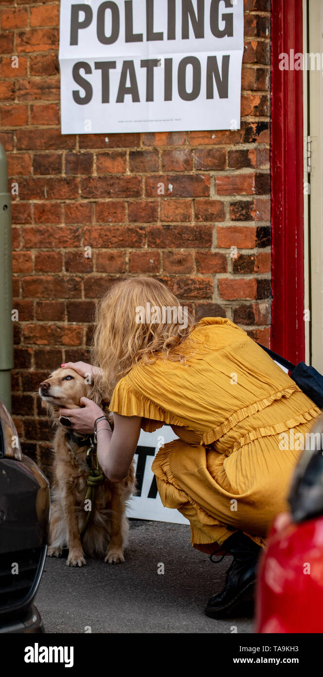 Oxford, Oxfordshire, UK. 23 Mai, 2019. Wahlen zum Europäischen Parlament. Es ist der Tag der Europawahlen und die Bewohner sind Abstimmung in Kraft. Ein collie Kreuz Hund sitzt vor einem Wahllokal in Jericho, Oxford, während Bewohner gehen in die Jericho Community Center zu stimmen. # DogsAtPollingStations Credit: Sidney Bruere/Alamy leben Nachrichten Stockfoto