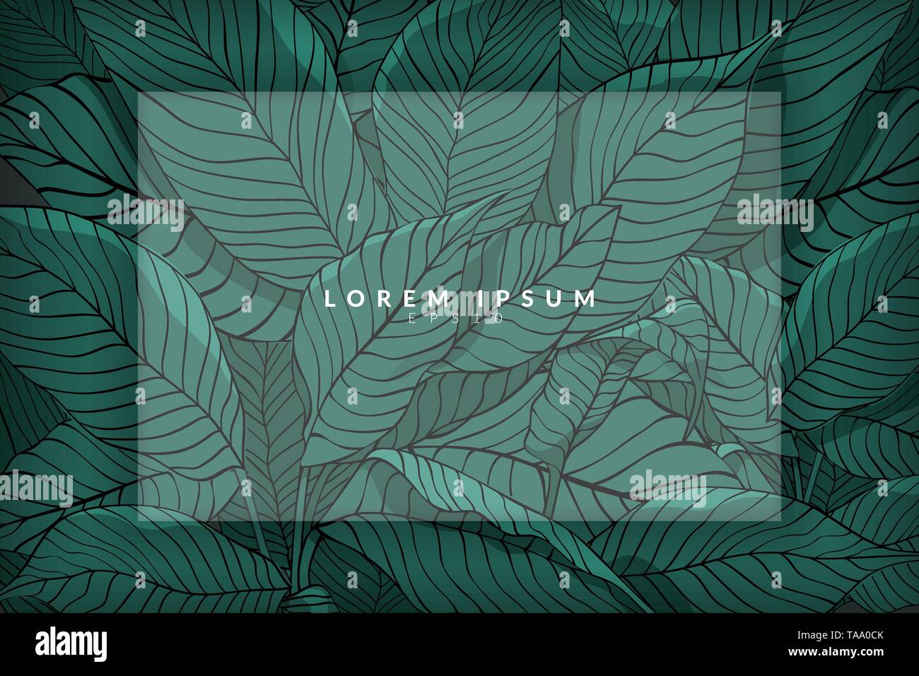 Kreative Gestaltung von Skizze der grüne Blätter als Hintergrund mit weißen Layer für Kopie Platz gemacht, flach legen. Natur Konzept Stock Vektor