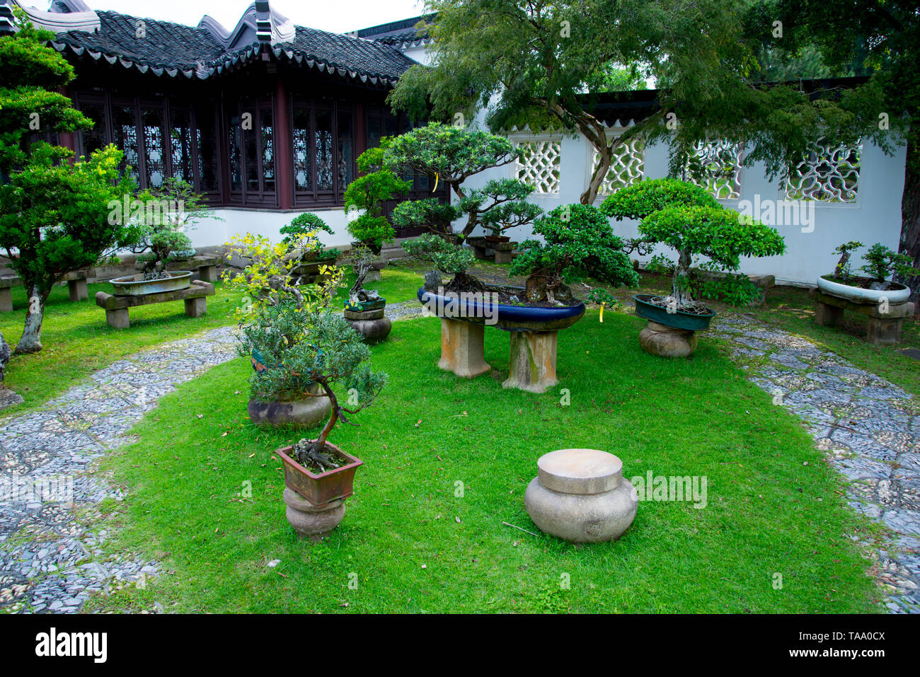 Bonsai Garten - Singapur Stockfoto
