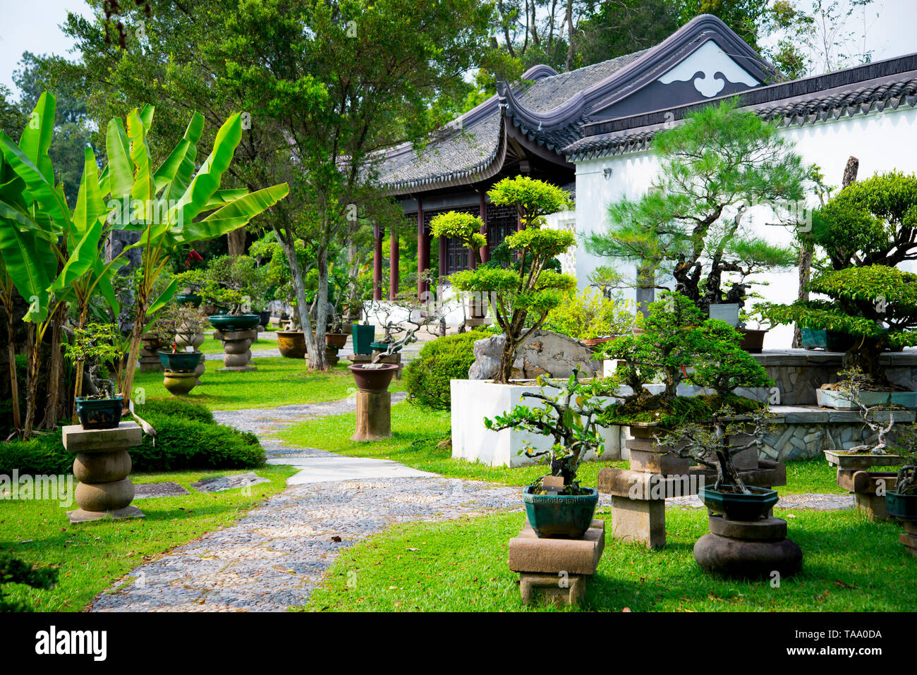 Bonsai Garten - Singapur Stockfoto