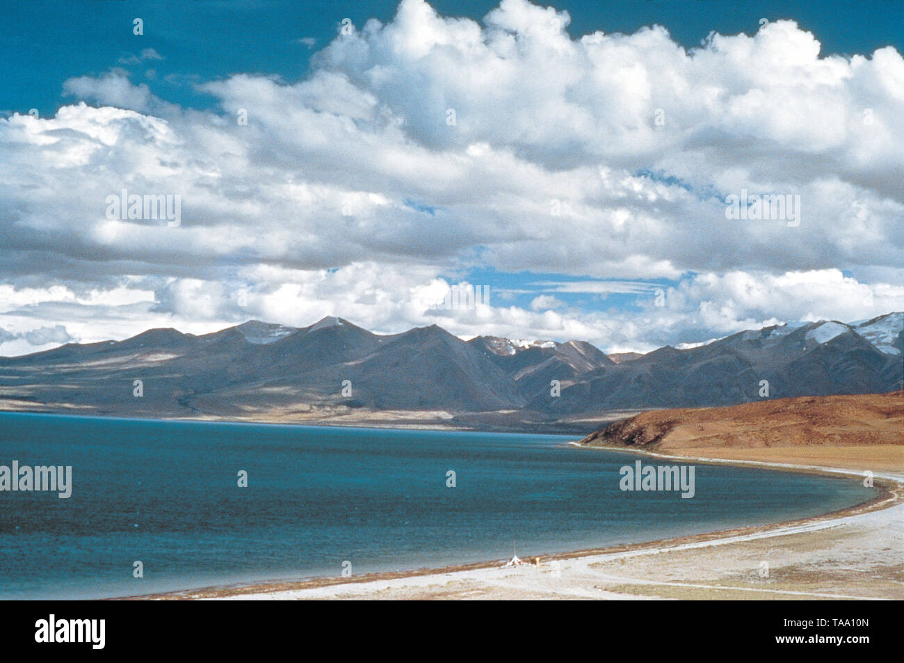 Download Seedekor verkauf For iPhone Seedekor Verkauf