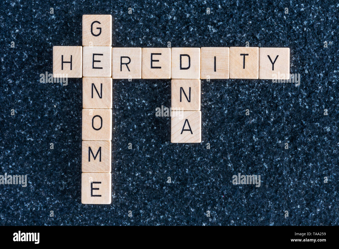 Holz Buchstaben bilden Genom-DNA und Vererbung Wörter auf einer schwarzen Tisch Stockfoto