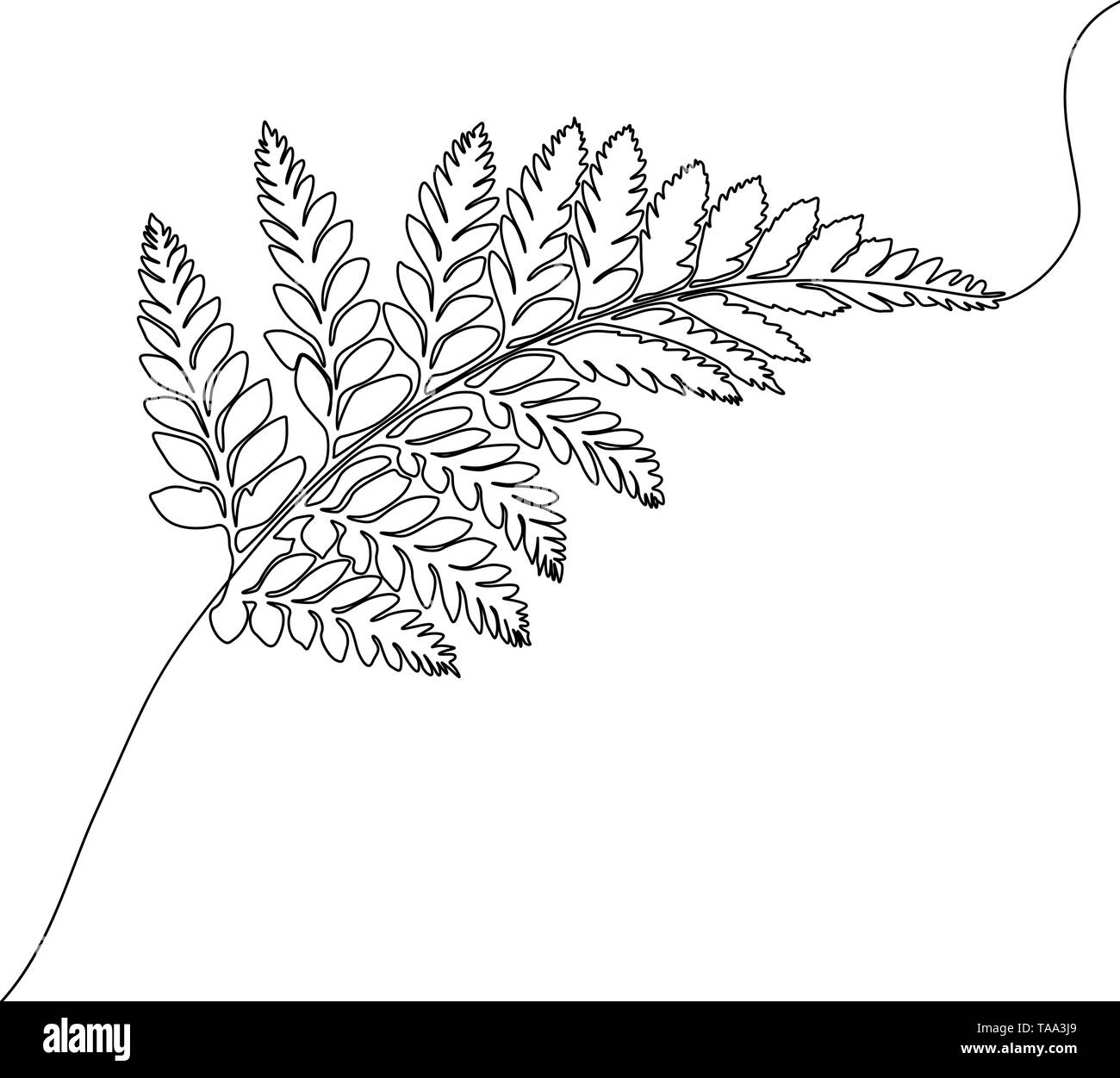 Kontinuierliche eine Strichzeichnung Farn, exotischen und tropischen  Pflanzen Stock-Vektorgrafik - Alamy