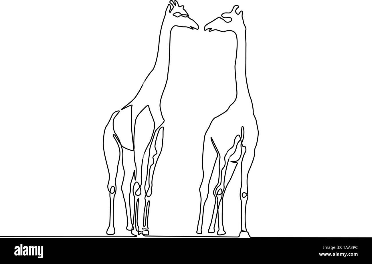 Durchgehende Linie giraffe Paar. Vector Giraffe auf weißem Hintergrund. Stock Vektor