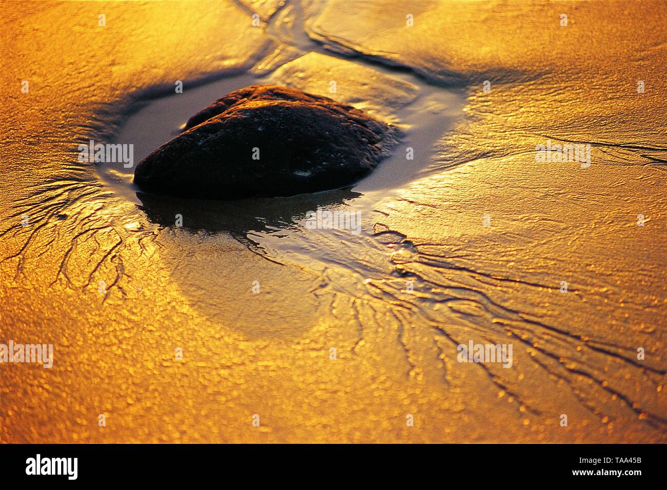 Kräuselung Surround Rock auf Sand bei Sonnenuntergang, Kashid, Maharashtra, Indien, Asien Stockfoto