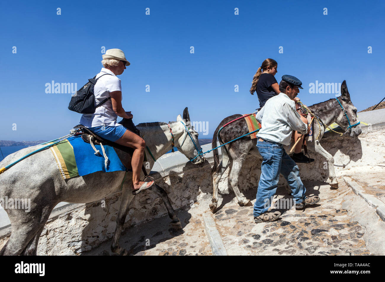 Santorini Griechenland Tourismus, Leute, Touristen gehen bis zu Thira, Eseltreiber hilft, auf den Berg zu fahren, Europa Stockfoto