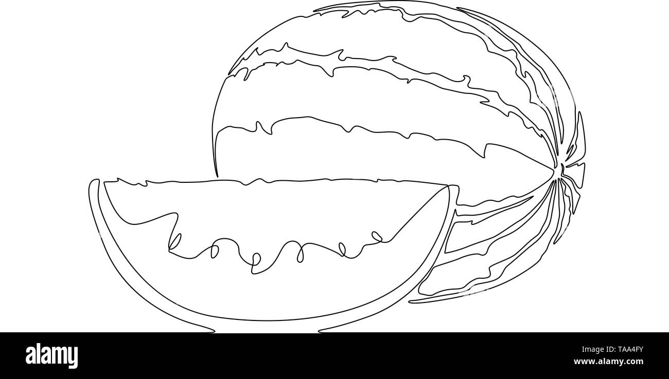 Durchgehende Linie zeichnen Wassermelone oder Melone. Vector Illustration. Stock Vektor