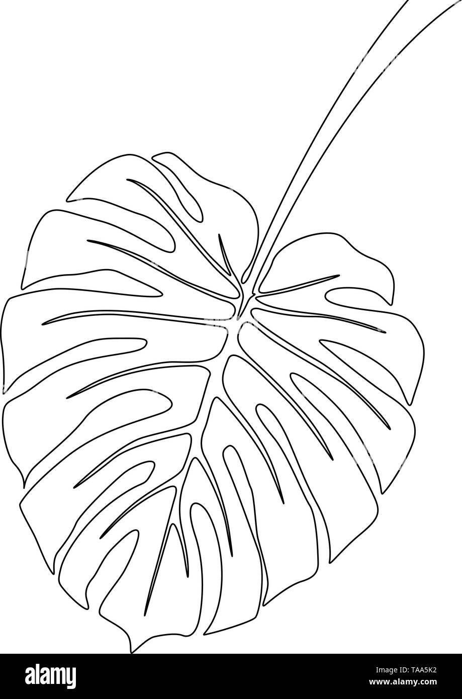 Eine Strichzeichnung monstera Zweig Blatt. Durchgehende Linie exotische tropische Pflanzen. Stock Vektor