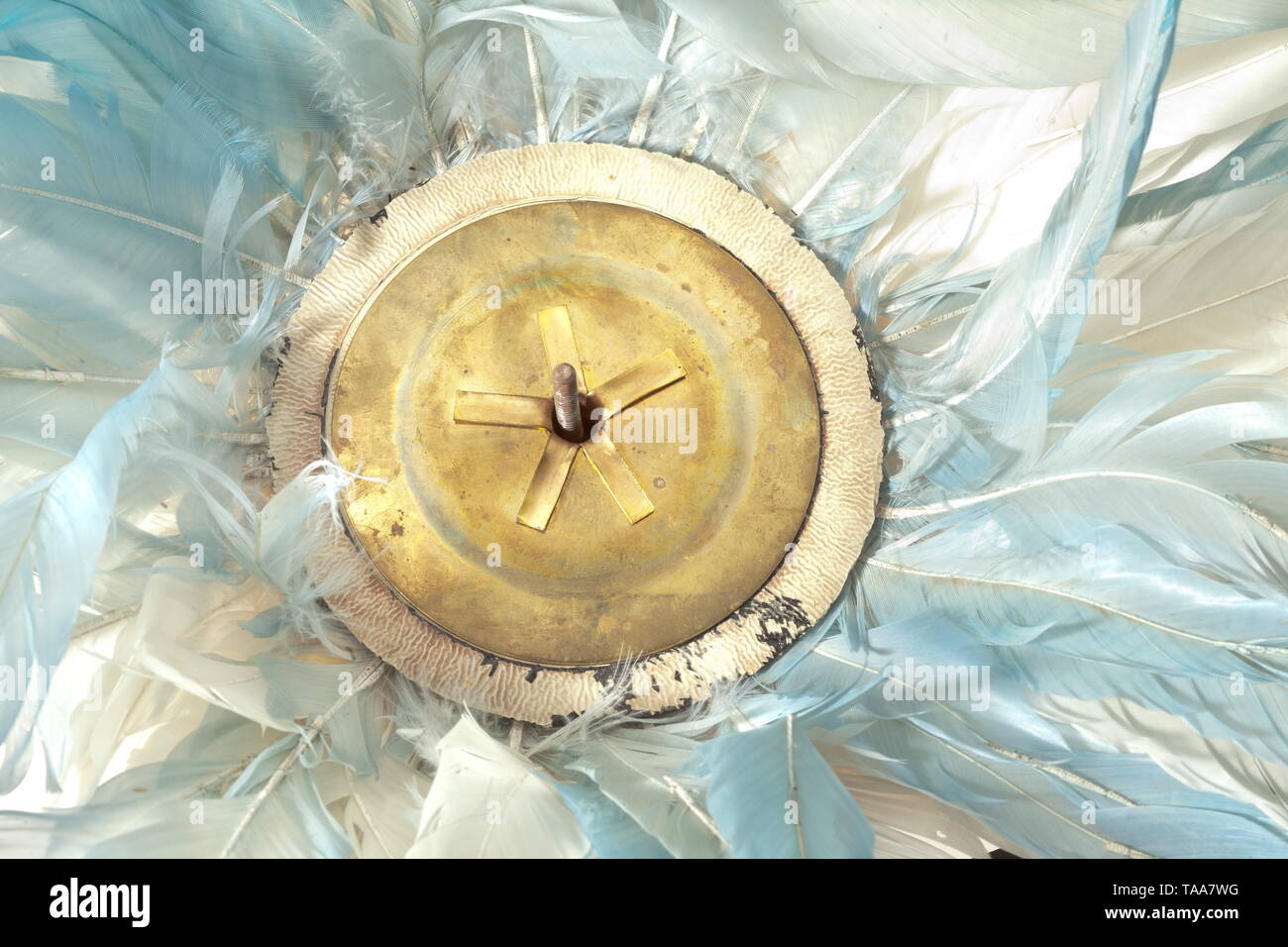 Eine Rauchwolke und Trichter für den Helm M 1902 und M 1913 ein Stück weißen und blauen Kapaun feather Bush (verschmutzt), Silber geriffelt Trichter und schützende Karton. historischen, geschichtlichen, Bayern, Bayrisch, Deutsch, Deutschland, Süddeutschland, im Süden von Deutschland, Objekt, Objekte, Fotos, Militaria, Clipping, Ausschneiden, Ausschneiden, Ausschnitten, 20. Jahrhundert, Additional-Rights - Clearance-Info - Not-Available Stockfoto