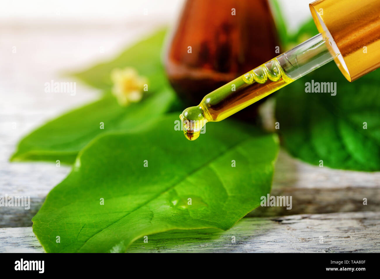 Bio pflanzliche Kosmetik und alternative Medizin Konzept Stockfoto