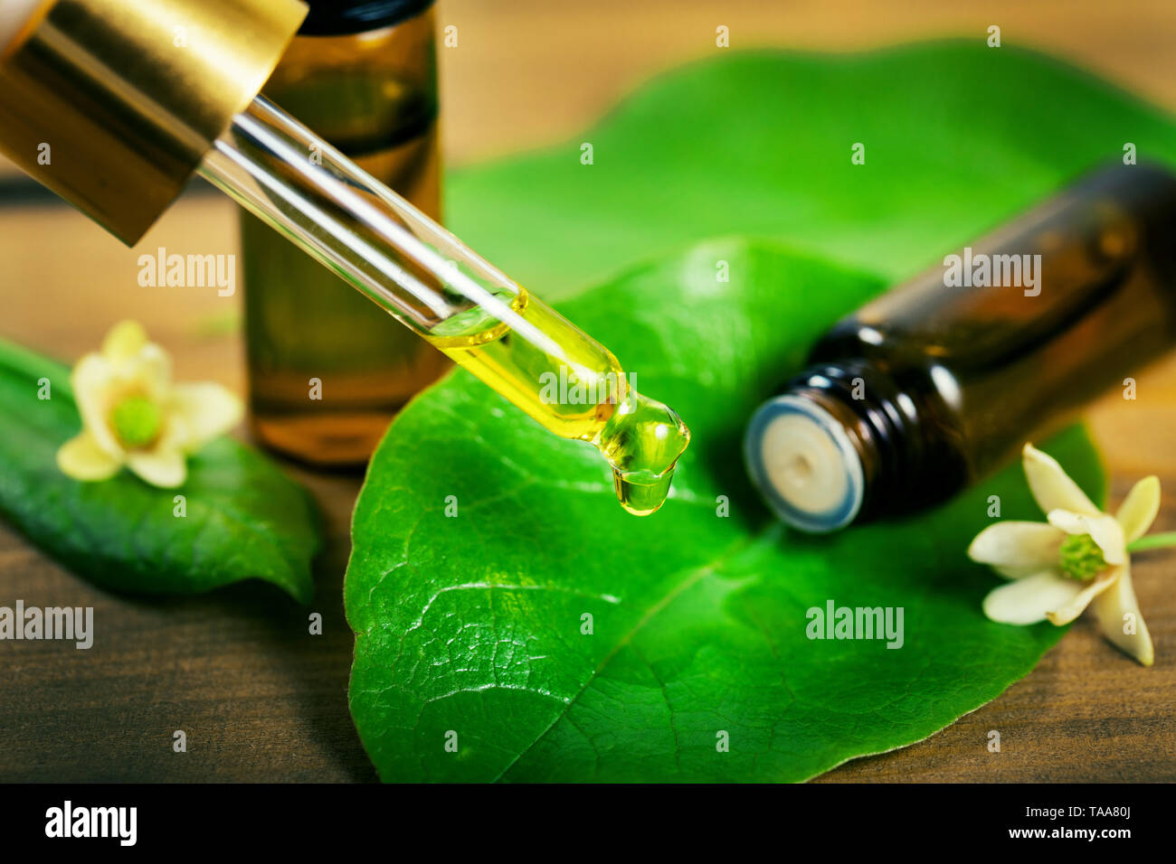 Pflanzliche Arzneimittel - ätherisches Öl tropft aus der Pipette auf grünem Blatt Stockfoto