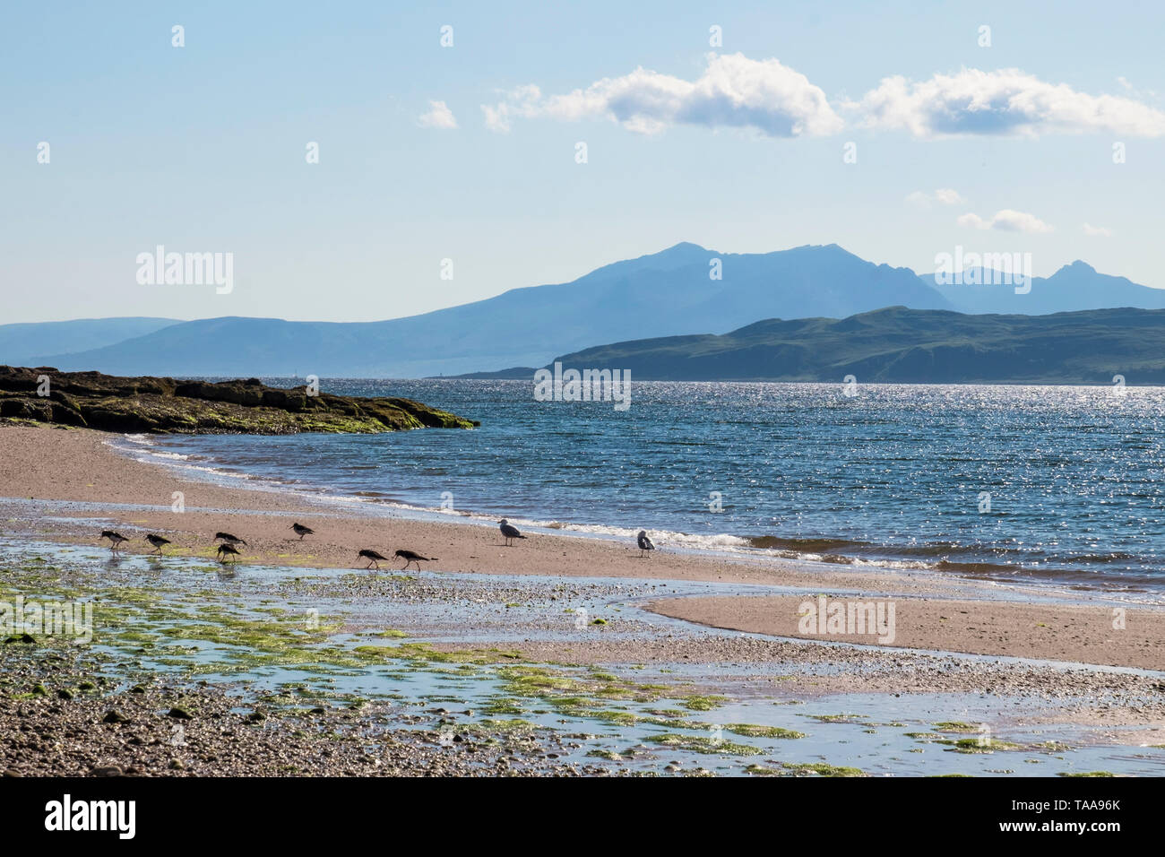 West Coast Strand auf große Cumbrae zu Arran suchen Stockfoto