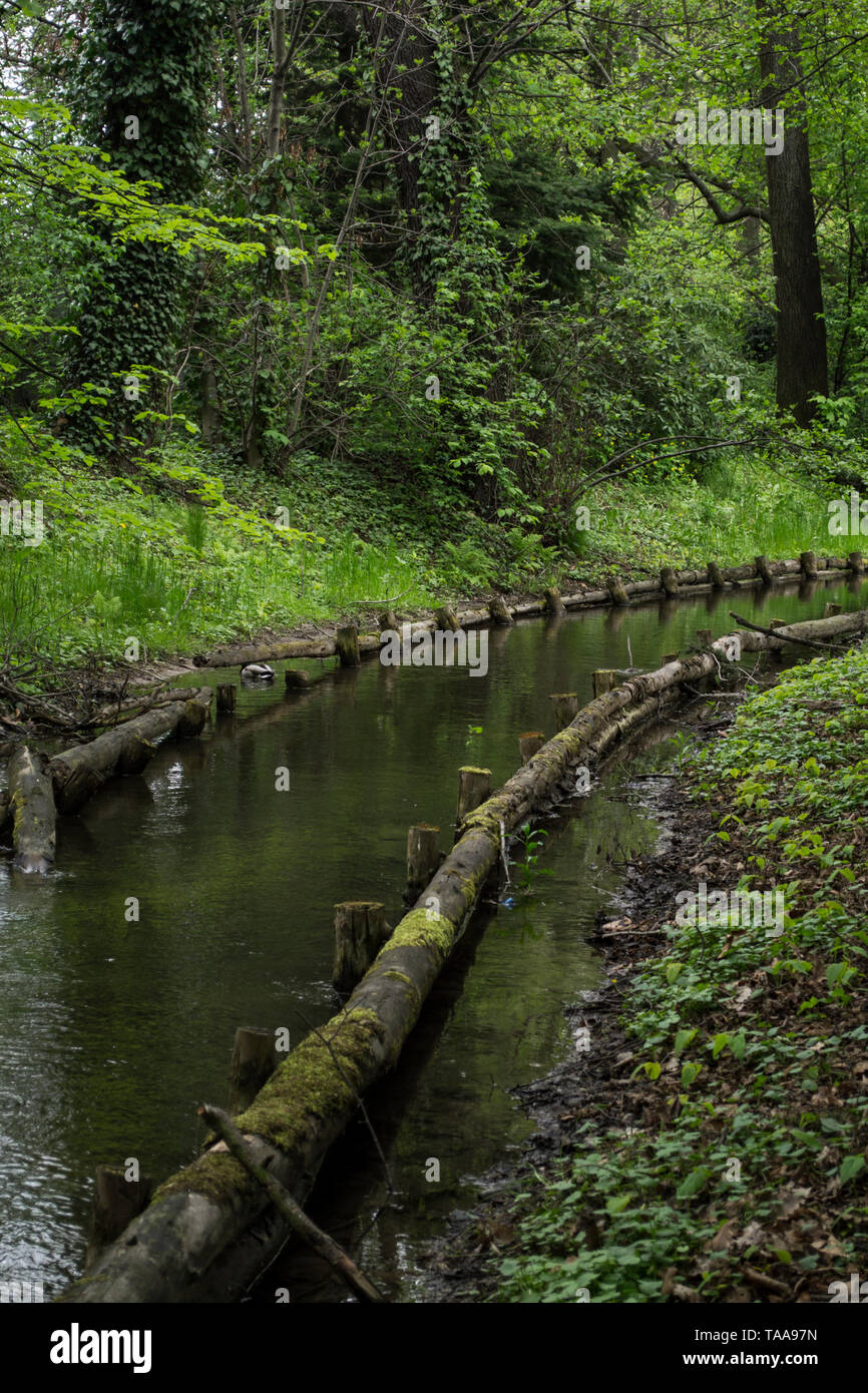 Strom fließt durch die kleinen botanischen Park in Krnov, Tschechien Stockfoto