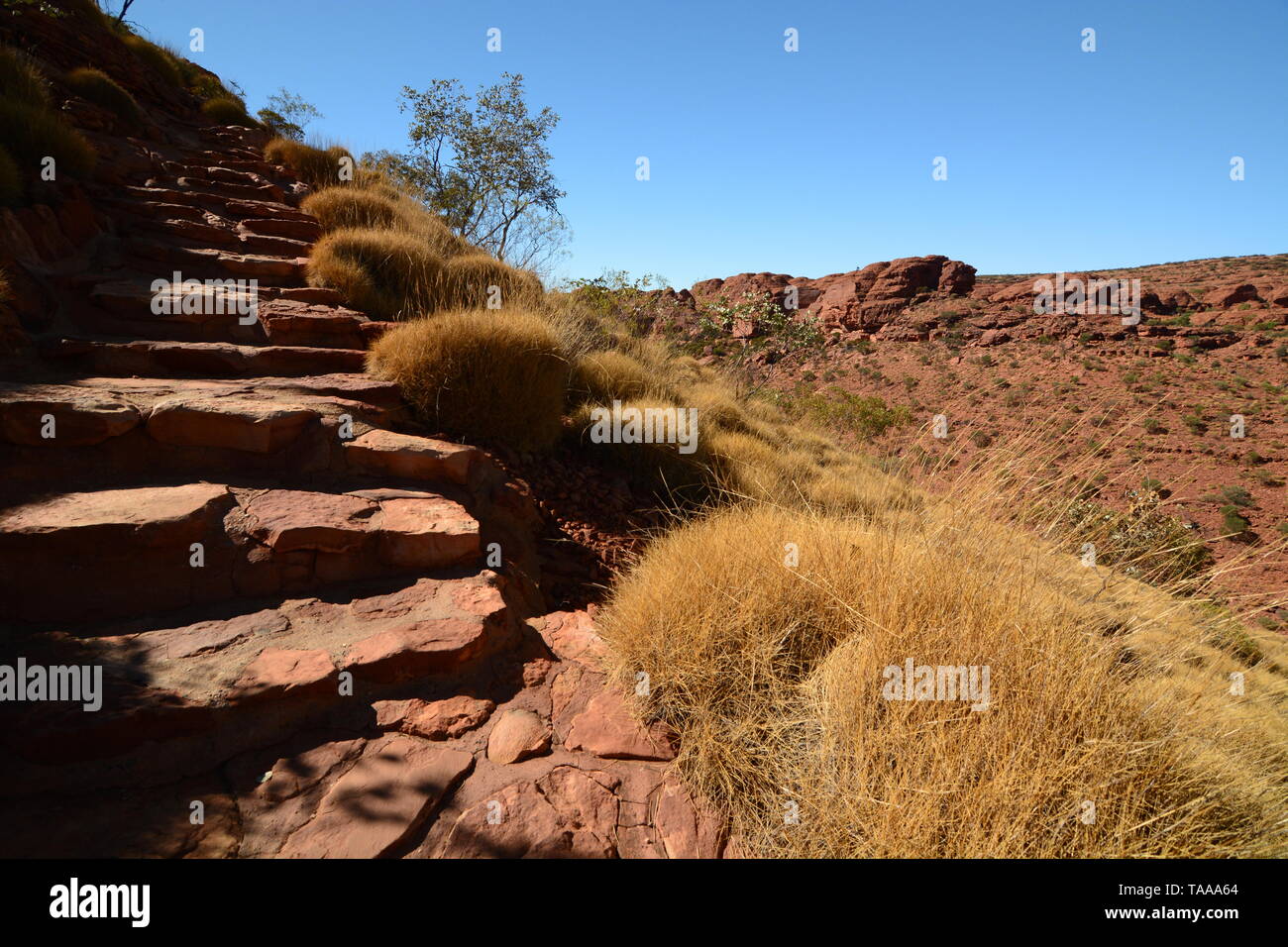 Rim zu Fuß weg. Kings Canyon. Watarrka National Park. Northern Territory. Australien Stockfoto